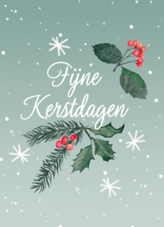 Kerstkaart fijne kerstdagen hulsttak