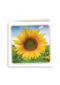 flash zonnebloem