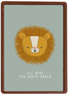 geboorte broer jij bent een grote broer