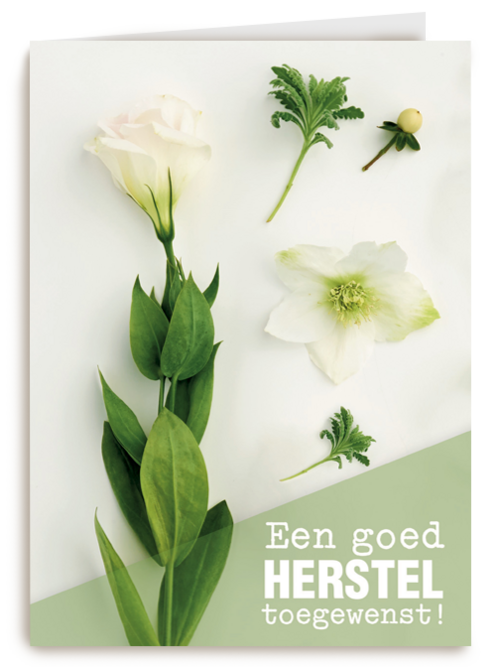 botanical kaart een goed herstel toegewenst