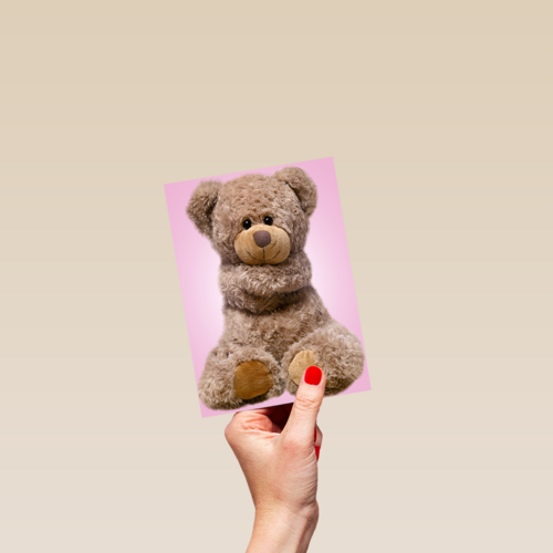Chromazone Roze knuffelbeer