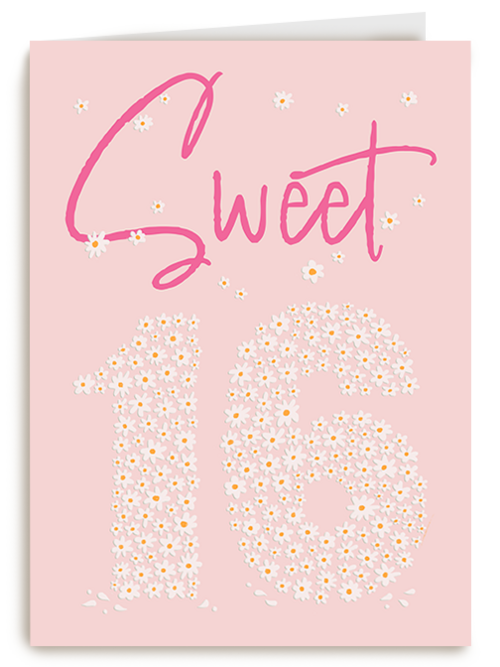 Kaart Hallmark | Kaart Met Leeftijden | Verjaardagskaart Sweet 16 Roze Bloemen