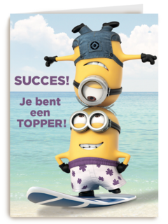 minions succes je bent een topper