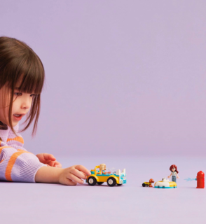 Lego Friends Hondenverzorgingswagen Set