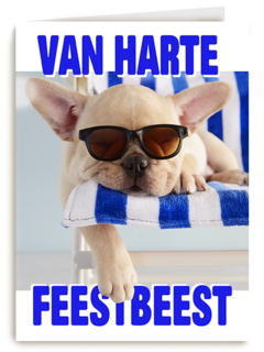 Verjaardag Feestbeest Hond