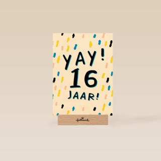 Verjaardagskaart yay 16 tiener jongen meisje