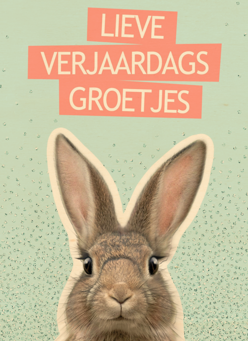 een konijntje voor je verjaardag