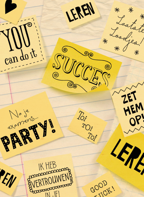 Houten Kaart | Succes Post Its