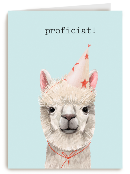 Verjaardag kaart hip happy birthday lama alpaca