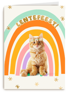 Regenboog Kat Lentefeest