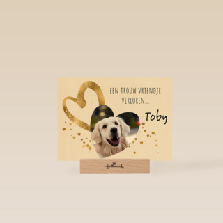 Condoleance rozen wit