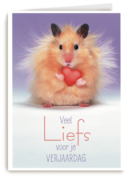 muis met hartje