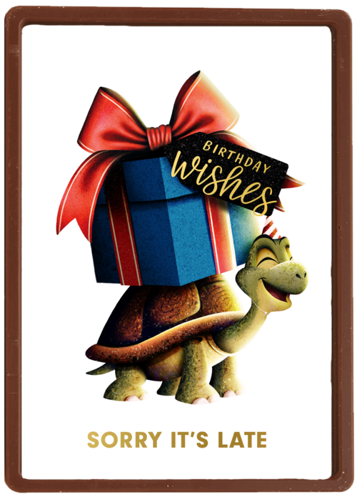 Kaart Hallmark | Te Laat | Folio Sorry Its Late Turtle With Present