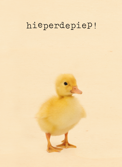 Houten Kaart Verjaardagskaarten | Verjaardagskaart Eendje Furry Cuddles