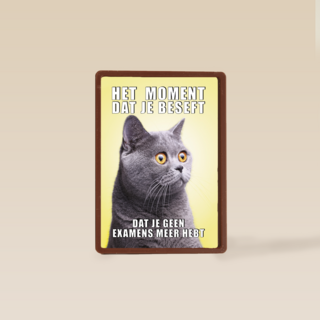 Geslaagd kaart Kat grappig