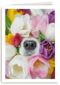 Fleurige hond