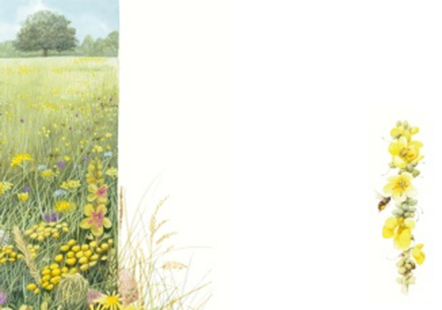 bloemenweide hartelijk gefeliciteerd