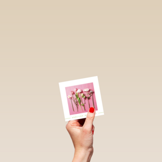 lente bloemen op roze achtergrond