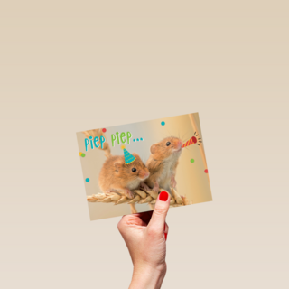 animal fiesta piep piep