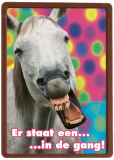 paard gang carnaval