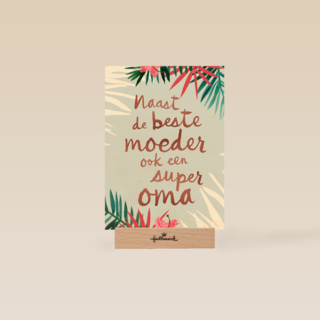 naast de beste moeder ook een superoma