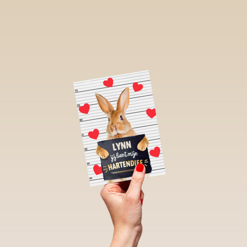 valentijn kaart konijn grappig jij bent mijn hartendief