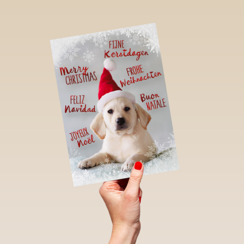 kerstpuppy met muts