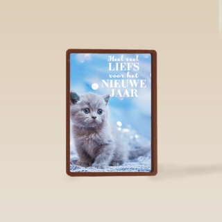 veel liefs voor het nieuwe jaar met deze kitten