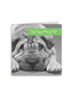 zielige hond beterschap