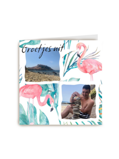 fotokaart groetjes uit flamingos
