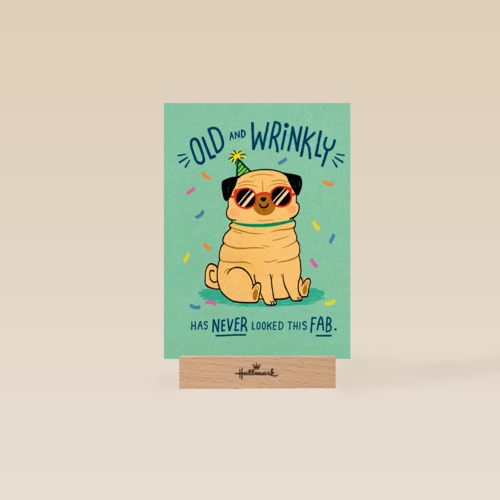 verjaardag kaart grappig old and wrinkly has never looked this fab