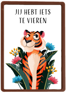 Verjaardagskaart Jij hebt iets te vieren tijger Folio