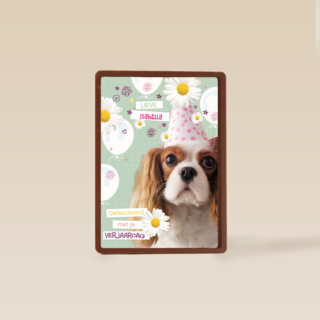 prodo dieren lieve gefeliciteerd met je verjaardag