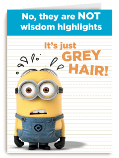 not wisdom highlights minion