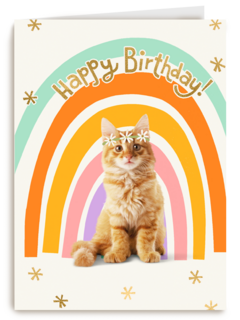 Regenboog kat Happy Birthday