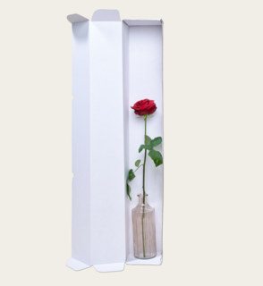 Single Roos Rood Met Vaas en Ayurveda Foam