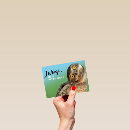 animal fiesta jarige zie ik het nu goed