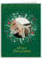 Turnowsky Merry Christmas fotokaart