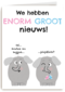 zwangerschap we hebben enorm groot nieuws
