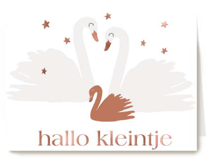 hallo kleintje met zwanen