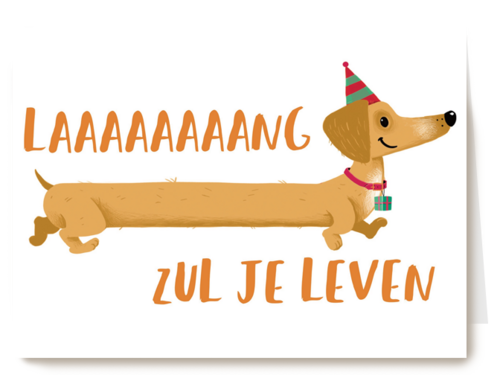 laaaaaang zul je leven