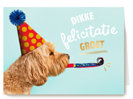 hond met feesthoedje dikke felicitatiegroet kaart