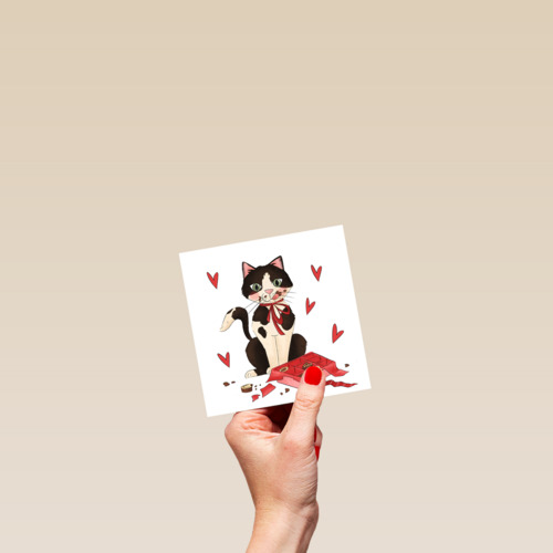 valentijn kaart matia studio kat bonbons