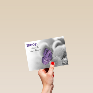 troost zit in kleine dingen 1
