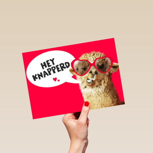 valentijnskaart grappig hey knapperd lama