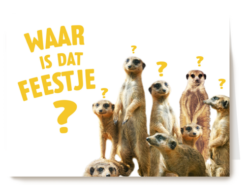 Verjaardagskaart Hallmark | Waar Is Dat Feestje Met Stokstaartjes