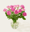 Brievenbusbloemen Roze Rozen