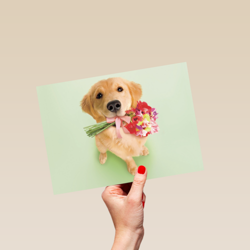 hond met bloemen