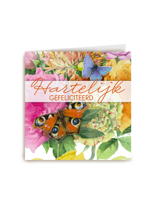 een kleurrijke felicitatie met vlinders