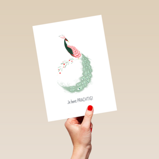 Complimentkaart je bent prachtig